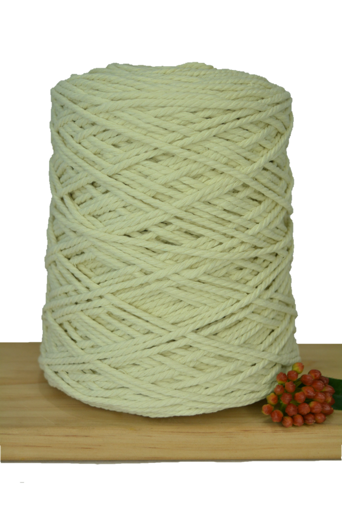 POSTPONED DUE TO SEVERE WEATHER / Beginner Macrame Wall Hanging Workshop 21st March, Central Coast NSW