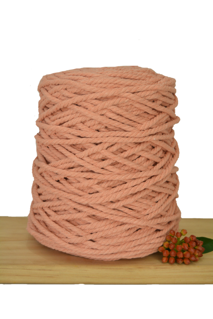 POSTPONED DUE TO SEVERE WEATHER / Beginner Macrame Wall Hanging Workshop 21st March, Central Coast NSW