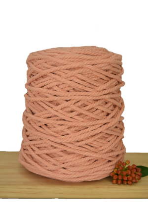 POSTPONED DUE TO SEVERE WEATHER / Beginner Macrame Wall Hanging Workshop 21st March, Central Coast NSW