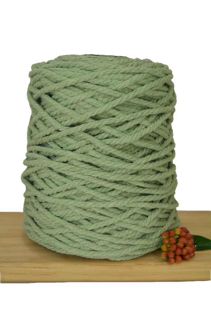 POSTPONED DUE TO SEVERE WEATHER / Beginner Macrame Wall Hanging Workshop 21st March, Central Coast NSW