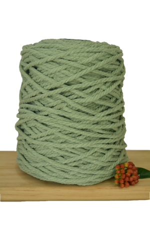 POSTPONED DUE TO SEVERE WEATHER / Beginner Macrame Wall Hanging Workshop 21st March, Central Coast NSW
