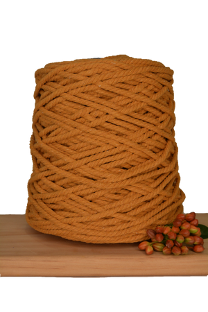 POSTPONED DUE TO SEVERE WEATHER / Beginner Macrame Wall Hanging Workshop 21st March, Central Coast NSW