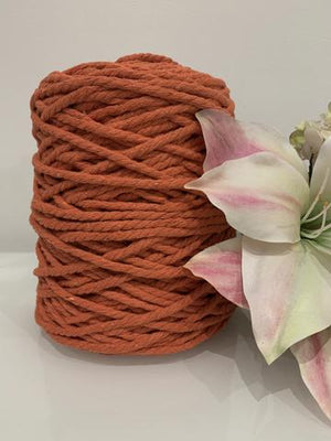 Macrame Plant Hanger DIY Kit