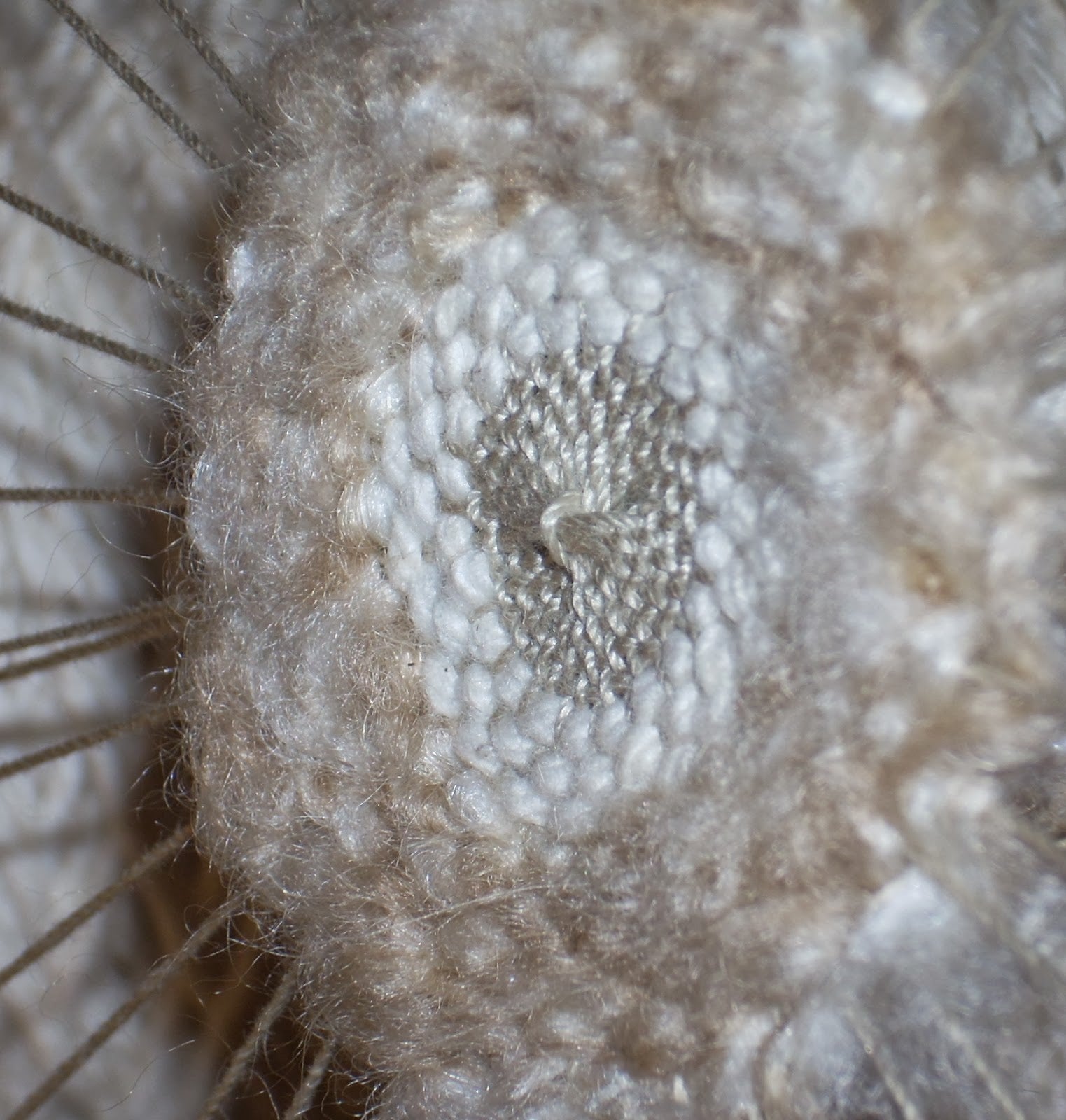 Modern Loom Weaving Workshop 18th April Central Coast, NSW