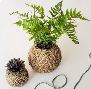 Kokedama + Hanger Workshop 11th October Central Coast, NSW
