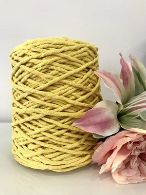 Beginner Macrame Wall Hanging Workshop 4th July, Central Coast NSW
